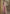 Vegaa Fashion Peach Net Embroidered Designer Palazzo Suit