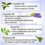 Thumbnail for Keya Seth Aromatherapy Graine Out Natural Therapeutic Essential Oil - Distacart