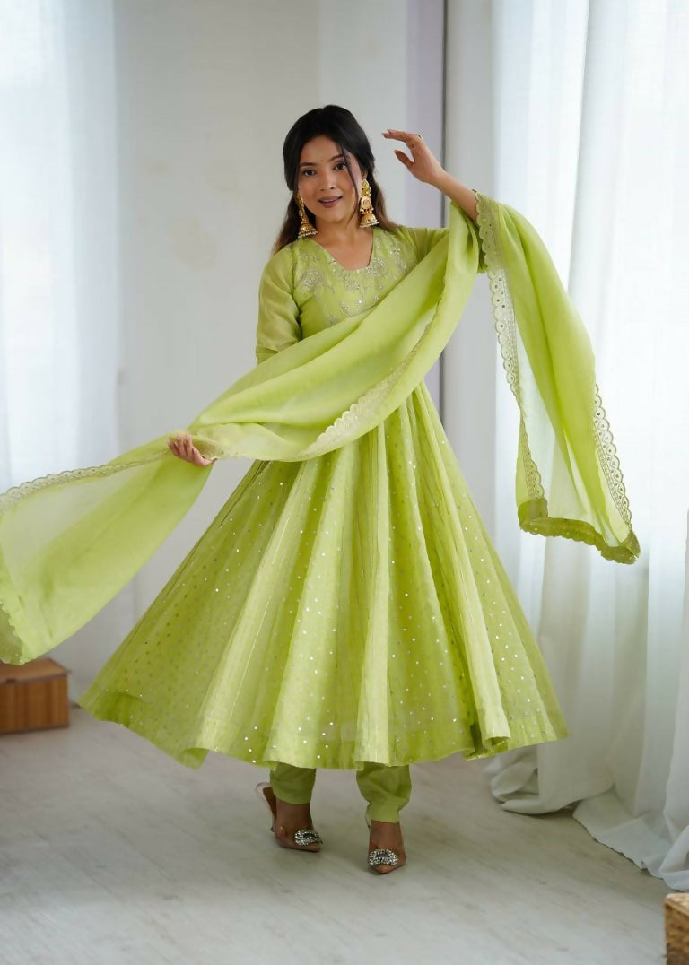 Teeya Creation Pista Green Color Heavy Crunchy Silk Embroidery Work Gown