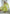 Teeya Creation Pista Green Color Heavy Crunchy Silk Embroidery Work Gown