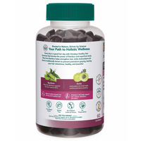 Thumbnail for Himalaya Herbals Healthy Hair Gummies