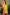 Jyoti Fashion Women's Yellow Banarasi Silk Zari Woven Saree with Blouse - Distacart