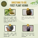 Thumbnail for First Plant Premium Rajasthani Henna Powder - Distacart