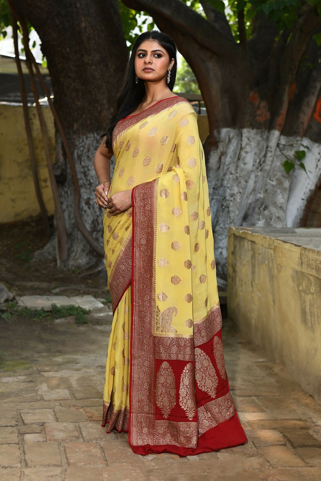 Joban Fashion Pale Yellow Crepe Chiffon Pure Handloom Banarasi Silk Saree