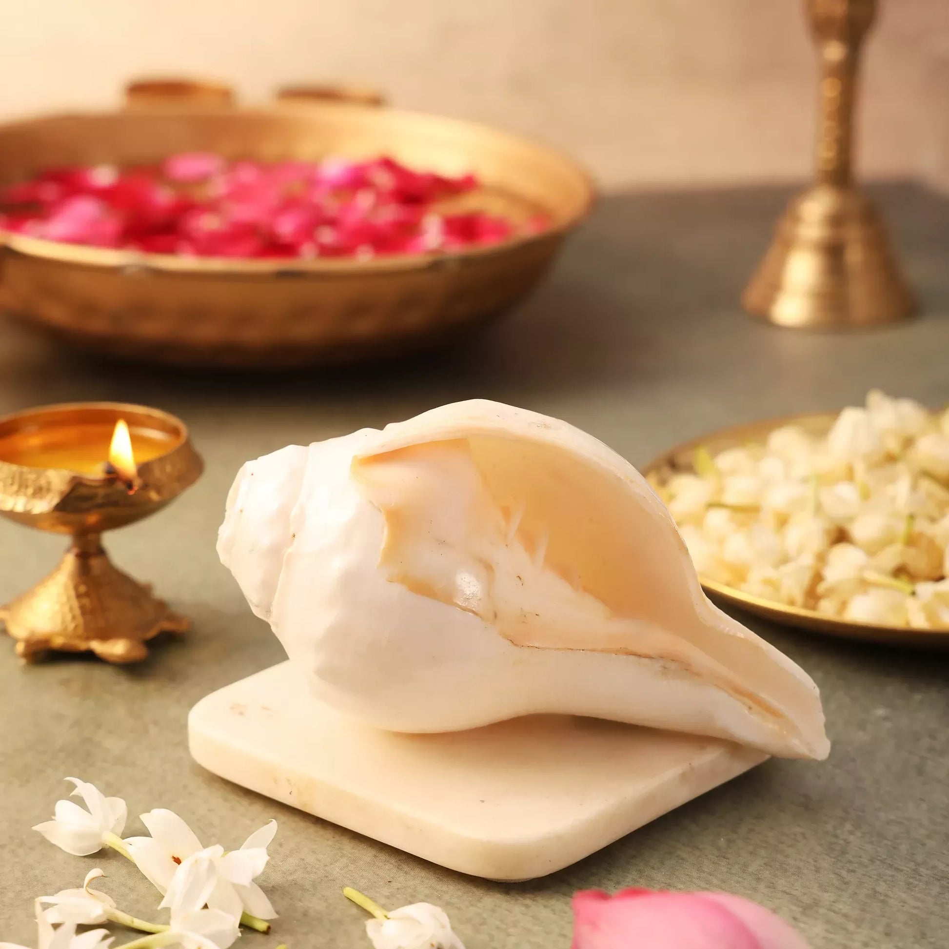 Pujashree Blowing Shankh – Sacred Conch for Spiritual Practices (Medium) - Dista