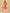 Jyoti Fashion Women's Coral Cotton Blend Embroidered Kurta Pant Set - Distacart