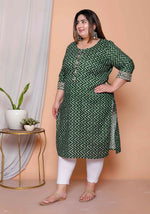 Thumbnail for Miravan Womens Plus Size Green Zigzag Print Embroidery Rayon Straight Kurta - Distacart
