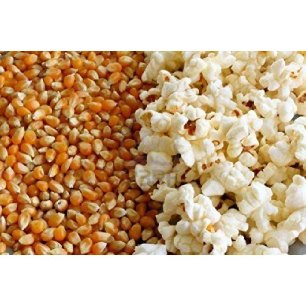 FreshoCartz Popcorn Kernel Seeds - Dista
