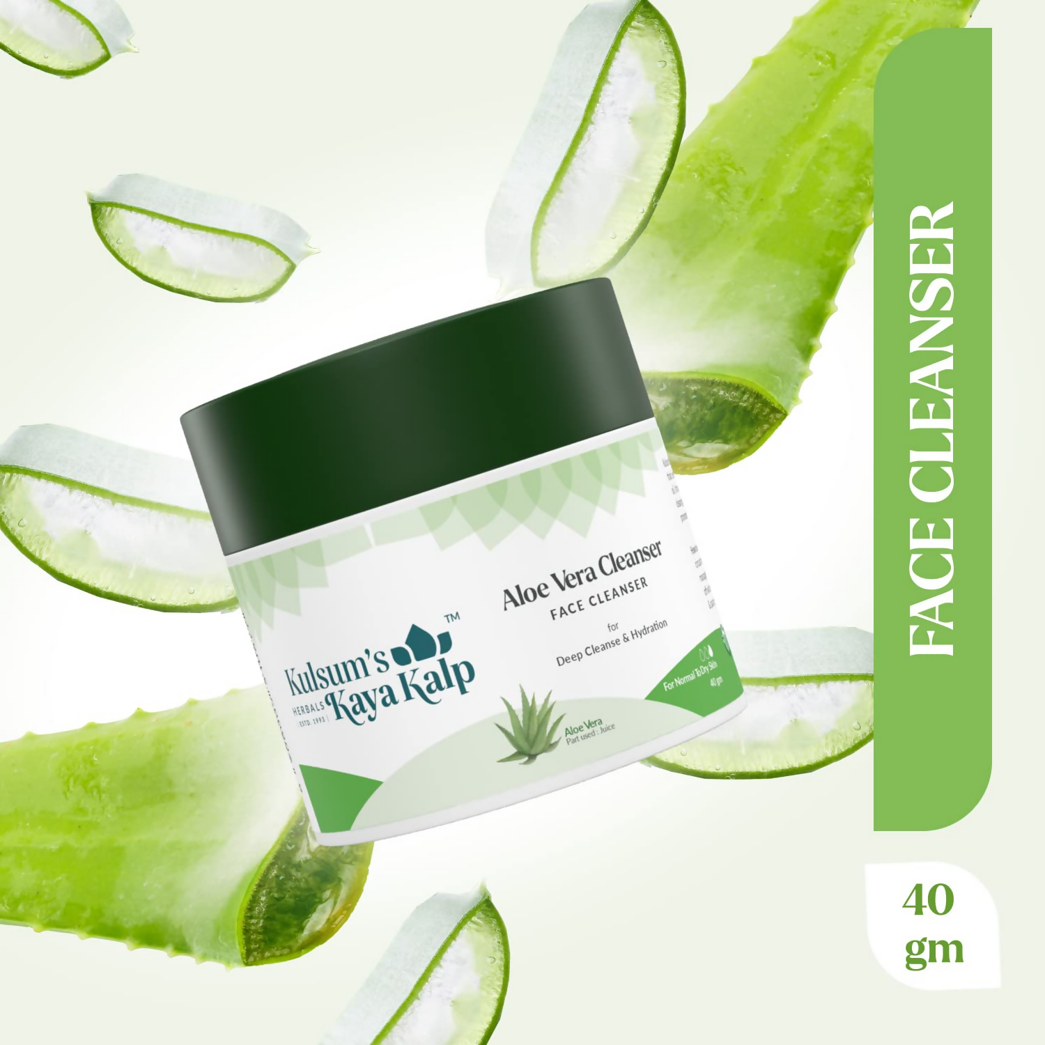 download - 2024-09-25T173733.678