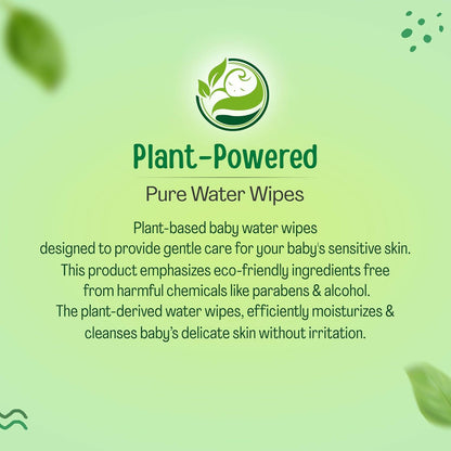 LuvLap Plant Based 99% Pure Water Extra Thick Unscented Baby Wipes - Distacart