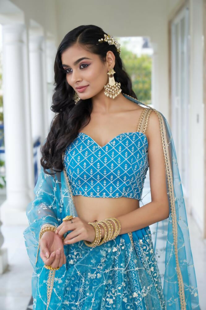 Aastha Fashion Sky Blue Butterfly Net White Cotton Thread Work And Sequence Work Embroidery Wedding Wear Lehenga Choli - Distacart