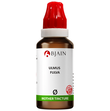 Bjain Homeopathy Ulmus Fulva Mother Tincture Q - Distacart