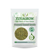 Yuvagrow Saunf Seeds - Distacart