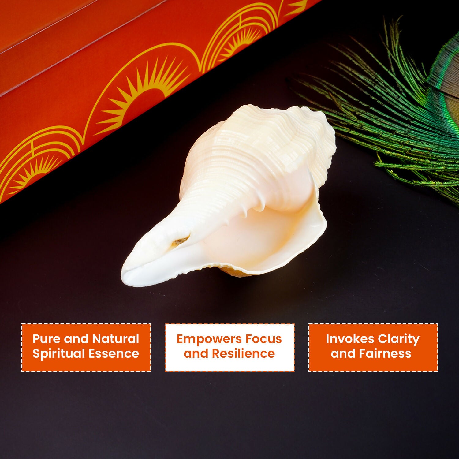 Pujashree Mangal Shankh – Navagraha Conch For Strength, Courage & Protection - Dista