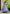 Jyoti Fashion Women's Blue Heavy Digital Printed Cotton Silk Anarkali Dress - Distacart