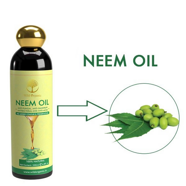 download - 2024-10-24T190201.171