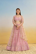 Thumbnail for Aastha Fashion Pink Butterfly Net Tone To Tone Cotton Thread Work And Sequence Work Embroidery Wedding Wear Lehenga Choli - Distacart