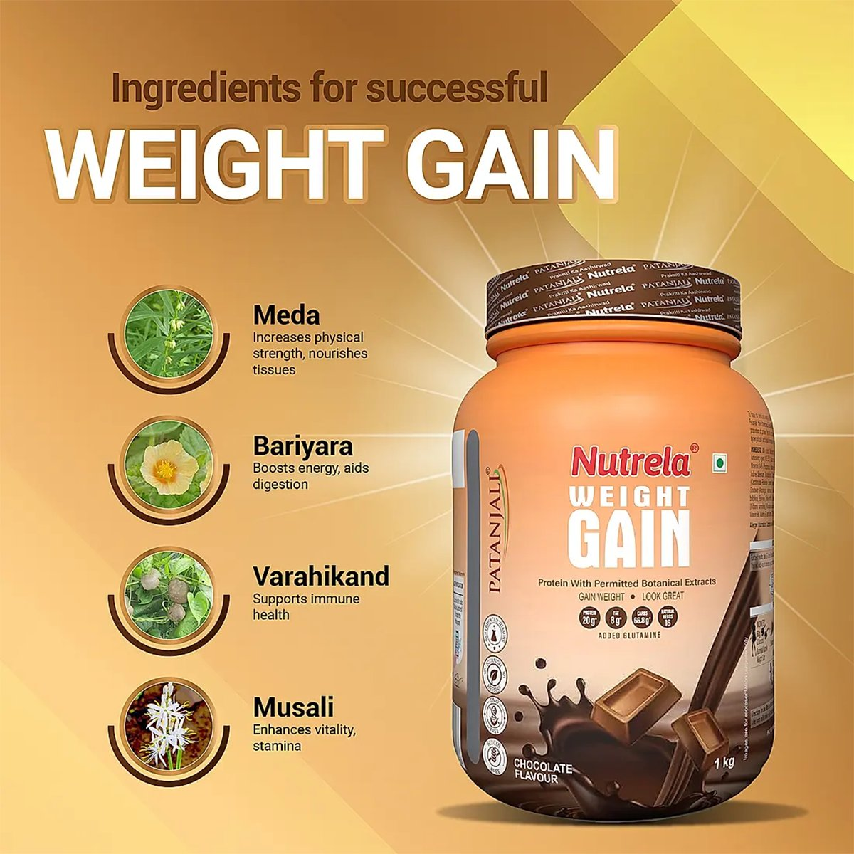 Patanjali Nutrela Weight Gain Chocolate Flavour