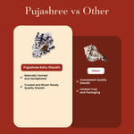 Thumbnail for Pujashree Rahu Shankh – Spiritual Conch for Rahu Dosha Relief & Puja - Dista