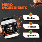 Thumbnail for Patanjali Nutrela Sports Whey Performance (Choc-irish)
