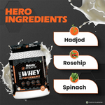 Thumbnail for Patanjali Nutrela Sports Whey Performance (Fvic)