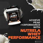 Thumbnail for Patanjali Nutrela Sports Whey Performance (Fvic)