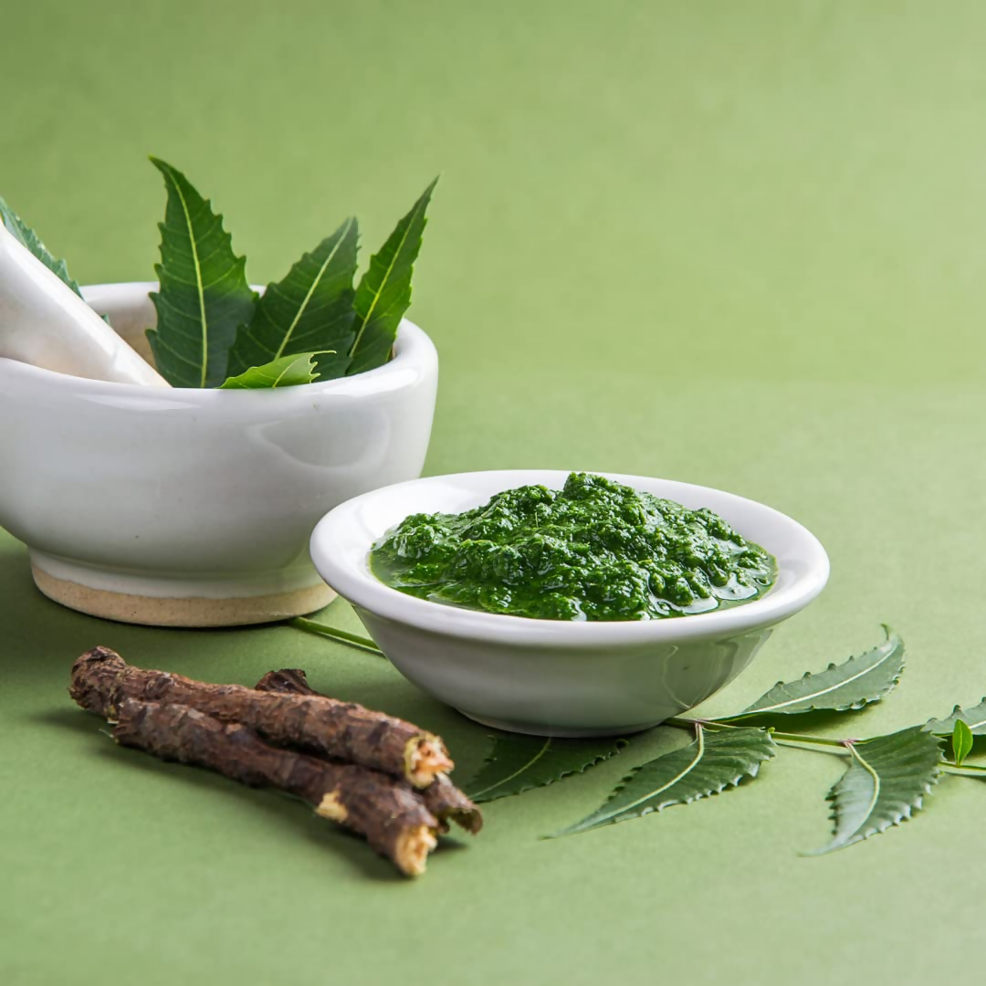 Village-Organica Neem Powder - Dista