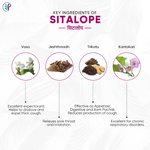 Thumbnail for Pathak Ayurvedic Pharmacy Sitalope - Distacart