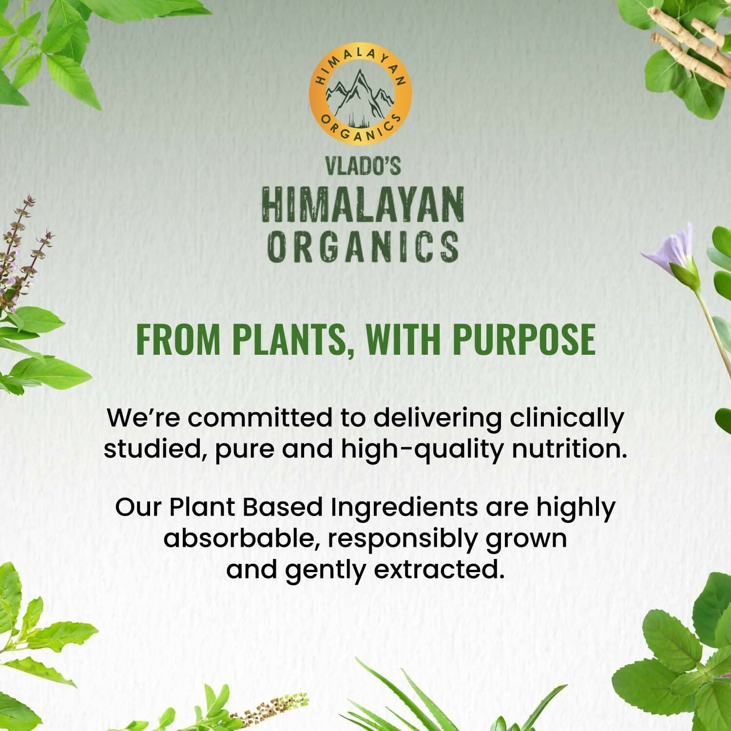 Himalayan Organics Vlado’s Plant Based 600iU Supplement Vitamin D3 + K2