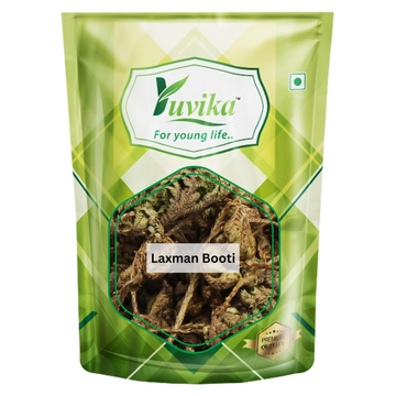 Yuvika Laxman Booti - Lakshman Booti - Selaginella Bryopteris - Guma - Distacart