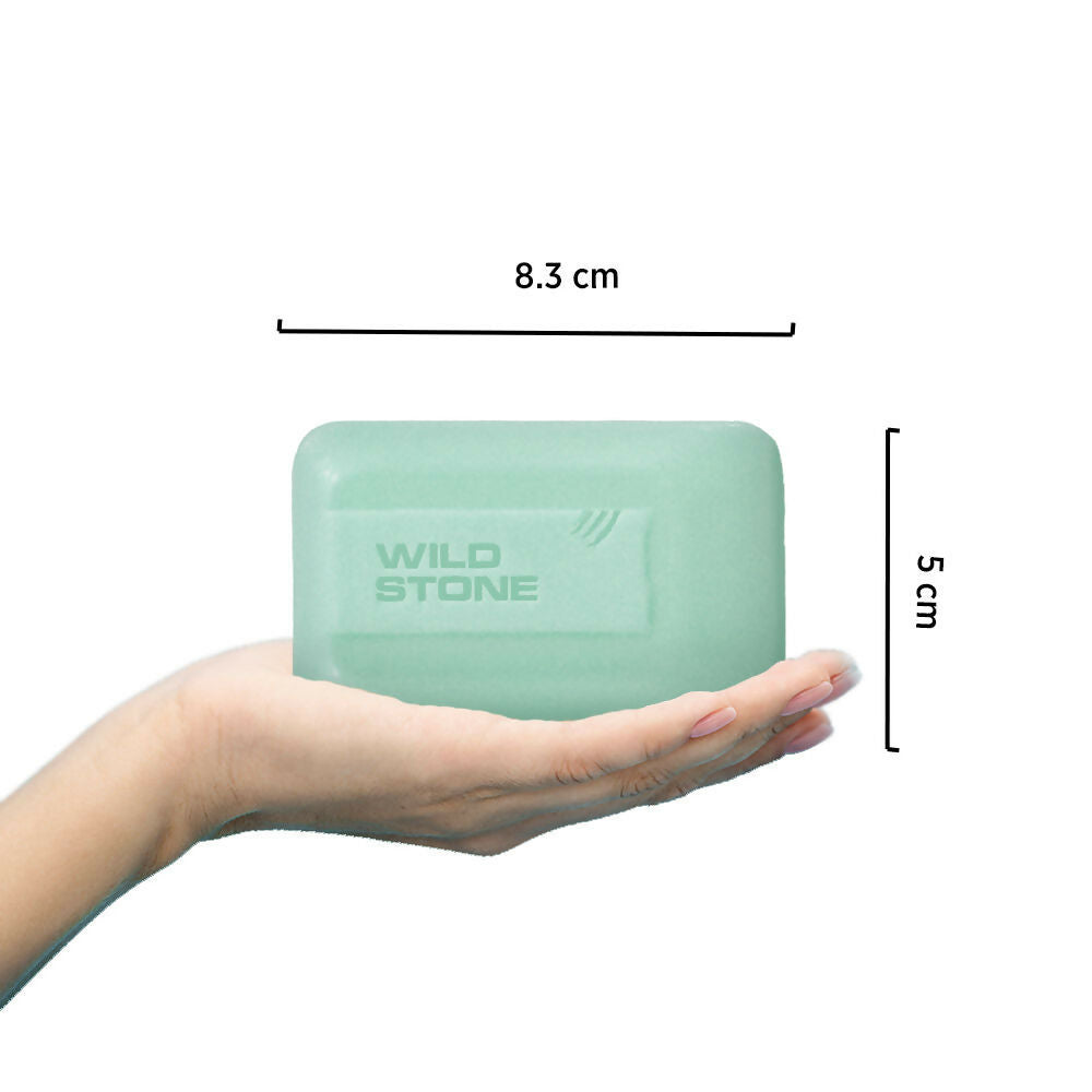 Wild Stone Forest Spice Deodorant Soap - Distacart