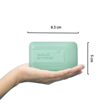 Wild Stone Forest Spice Deodorant Soap - Distacart