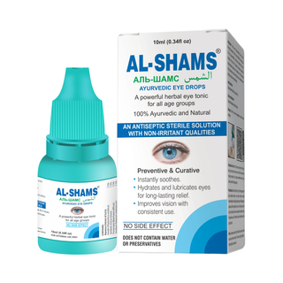 Al-Shams Front (2)