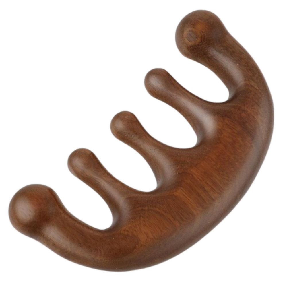 Bronson Professional Wooden Scalp Massager Comb Gua Sha For Hair Growth - Dista