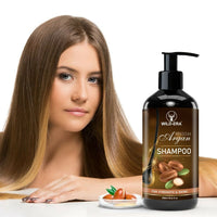 Thumbnail for Wildera Moroccan Argan Shampoo with Moroccan Argan Oil to Nourish Dull, Dry & Frizzy Hair - Distacart
