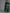 Ahalyaa Women's Traditional wear Kurta Set - Green - Distacart