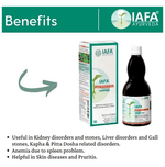 Thumbnail for Iafa Punarnava Swaras