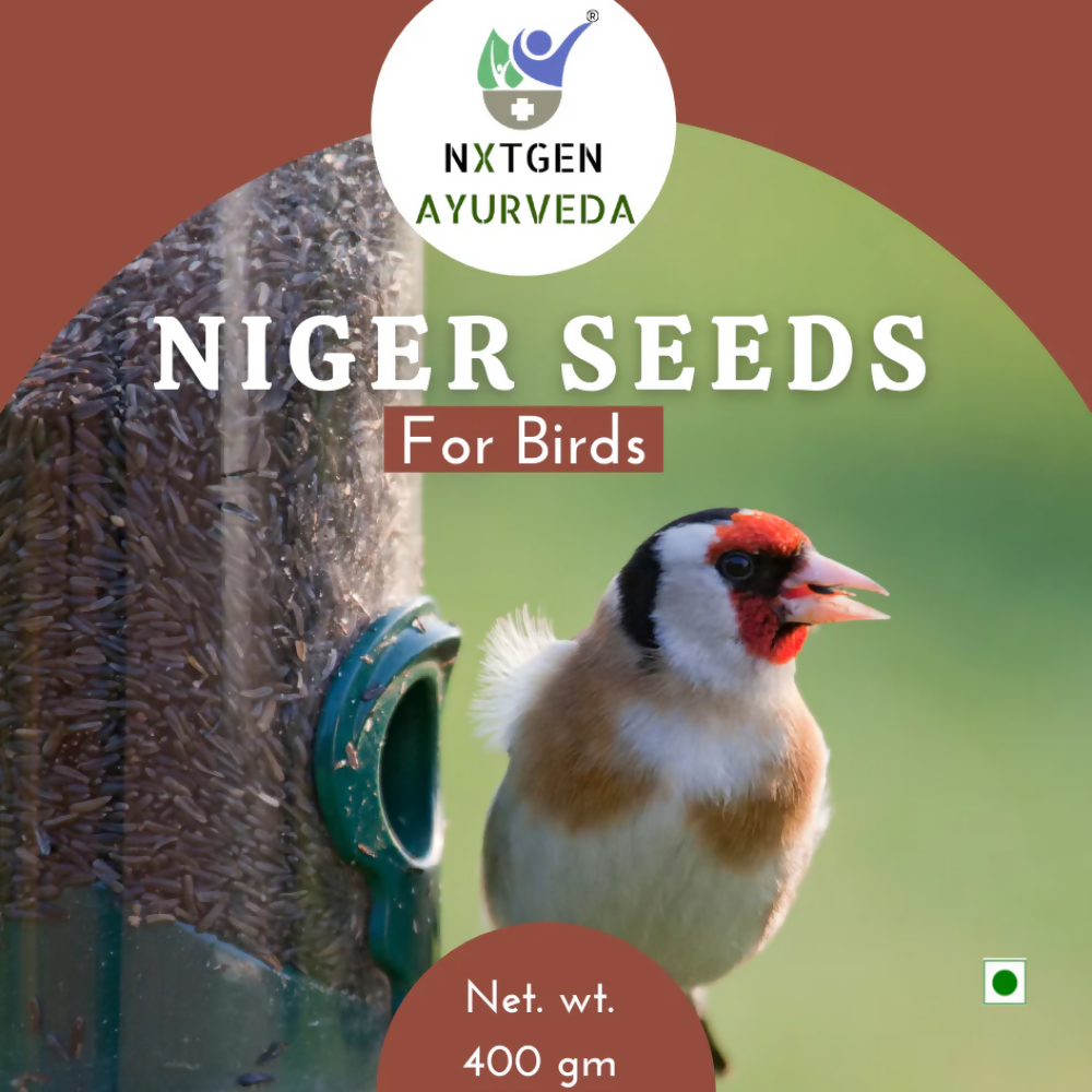 Nxtgen Ayurveda Niger Seeds for Birds - Distacart