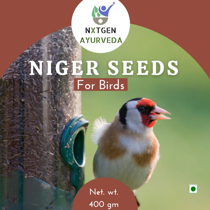 Nxtgen Ayurveda Niger Seeds for Birds - Distacart