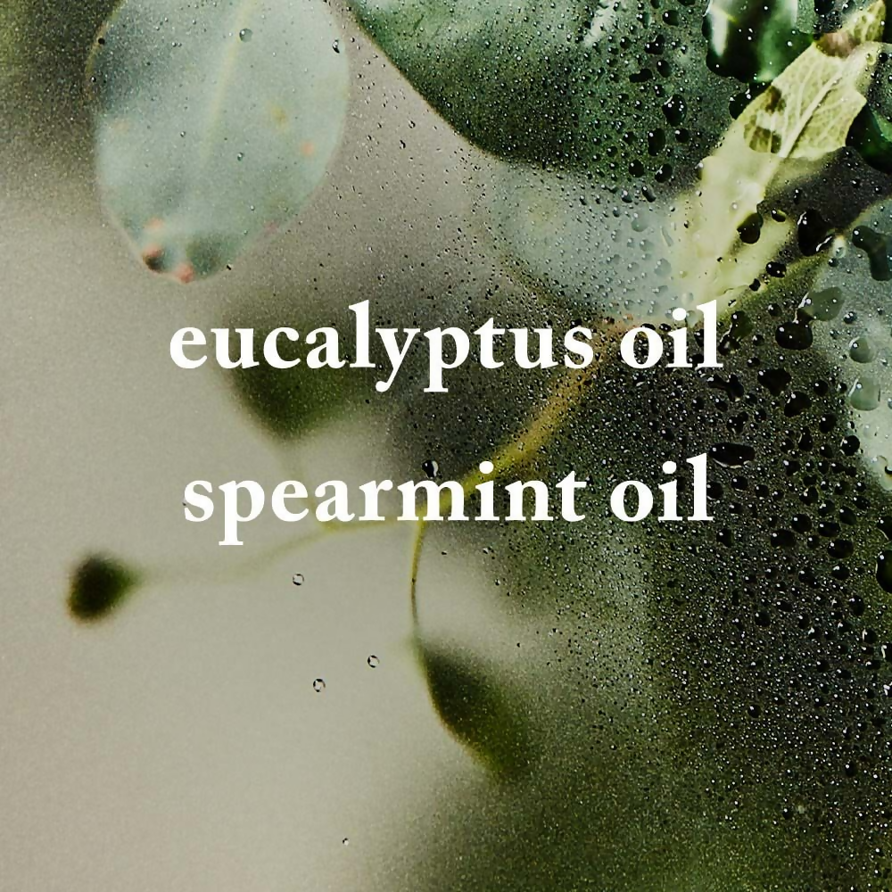 download - 2025-03-26T175429.873