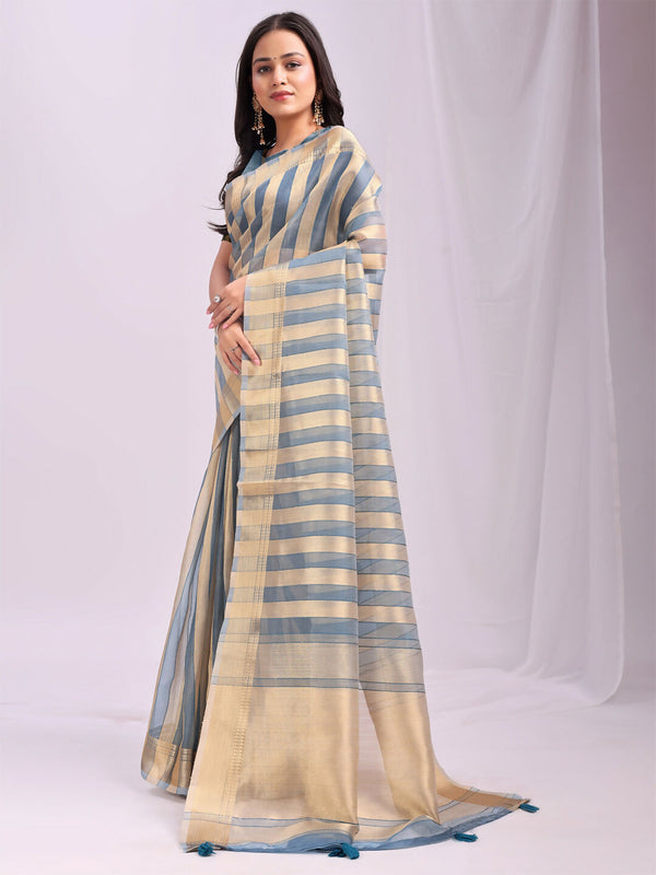 Astita Organza Sky Blue Saree