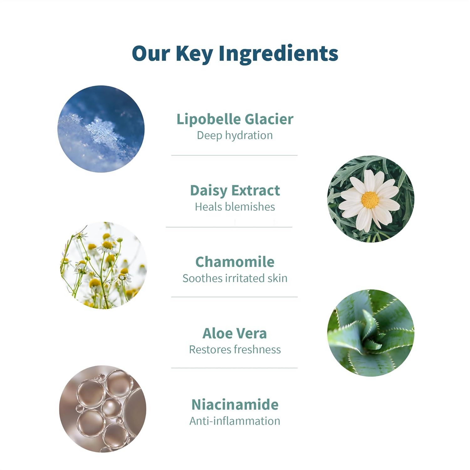 download - 2024-10-09T124719.475