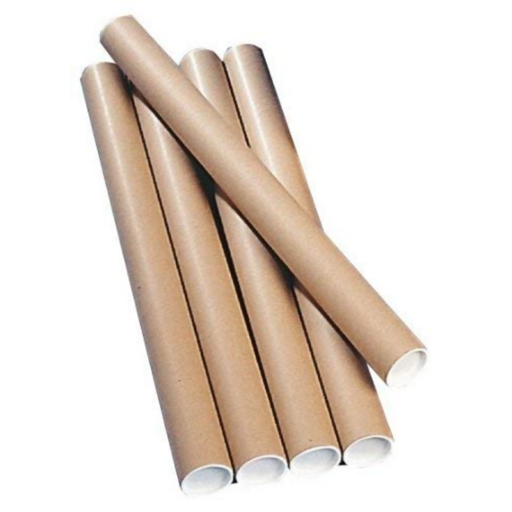 Walltech Combo of 4 Wall Sticker - Dista