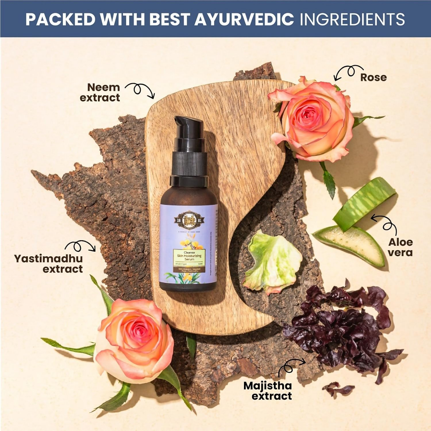 download - 2024-11-05T151150.532