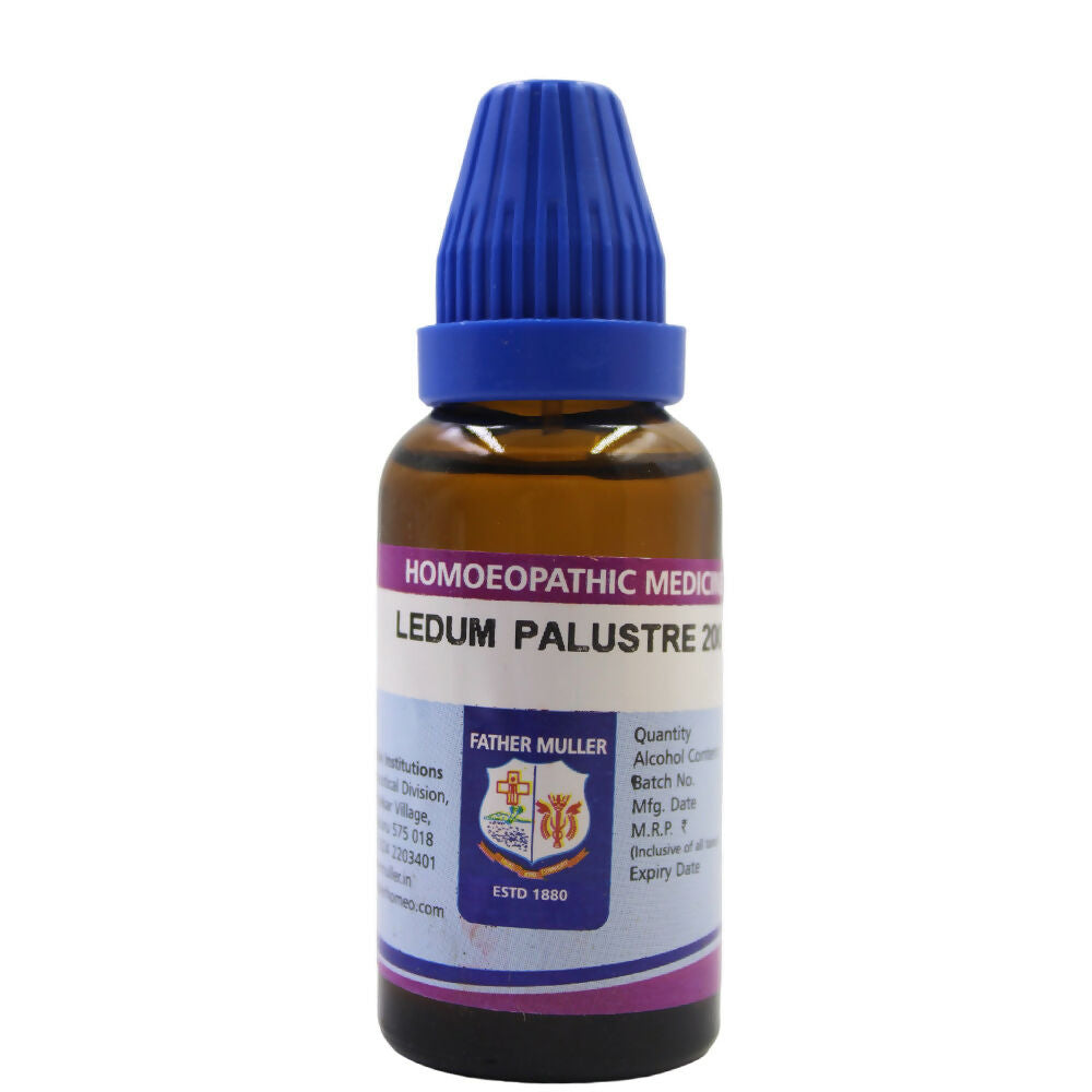 Father Muller Ledum Palustre Dilution - Distacart