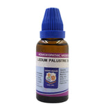 Thumbnail for Father Muller Ledum Palustre Dilution - Distacart