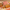 Vellanki Foods Assorted Partition Sweets Box