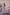 Jyoti Fashion Women's Purple Printed with Sequins Faux Georgette Anarkali Dress - Distacart