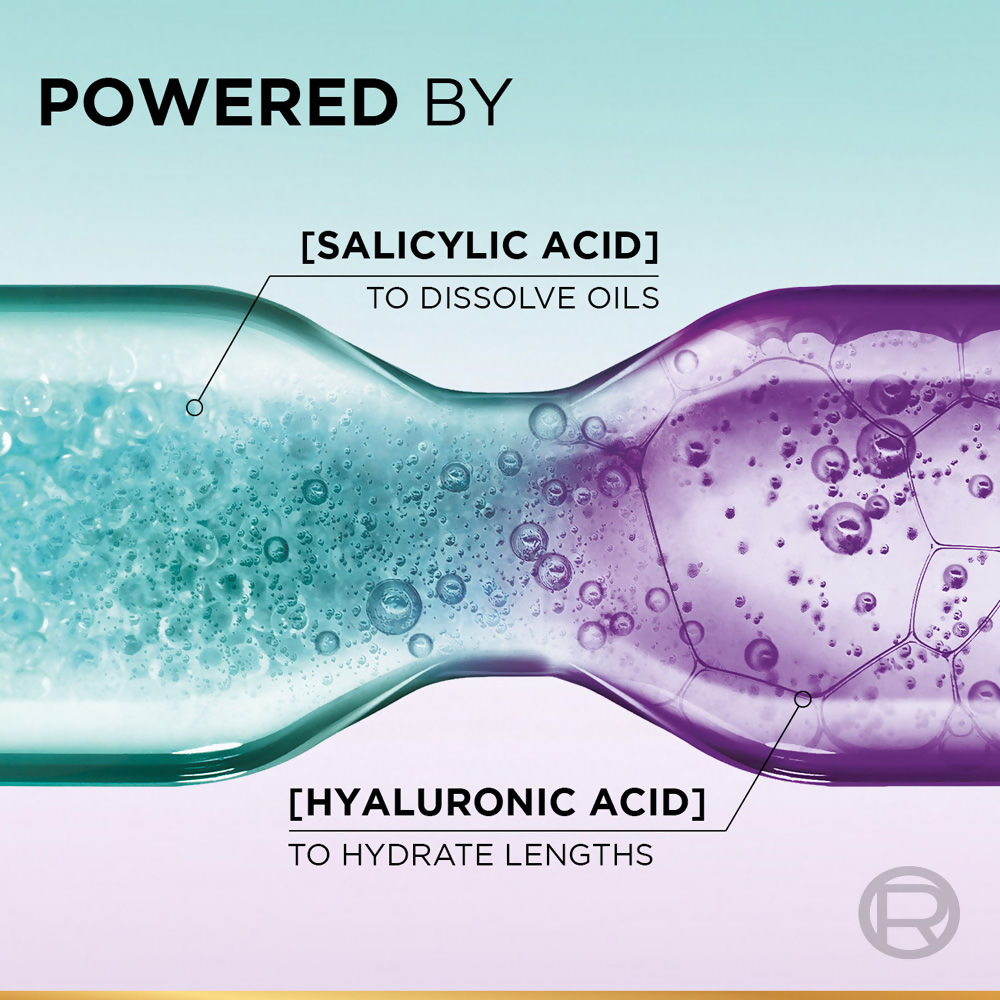 download - 2025-02-05T130321.158