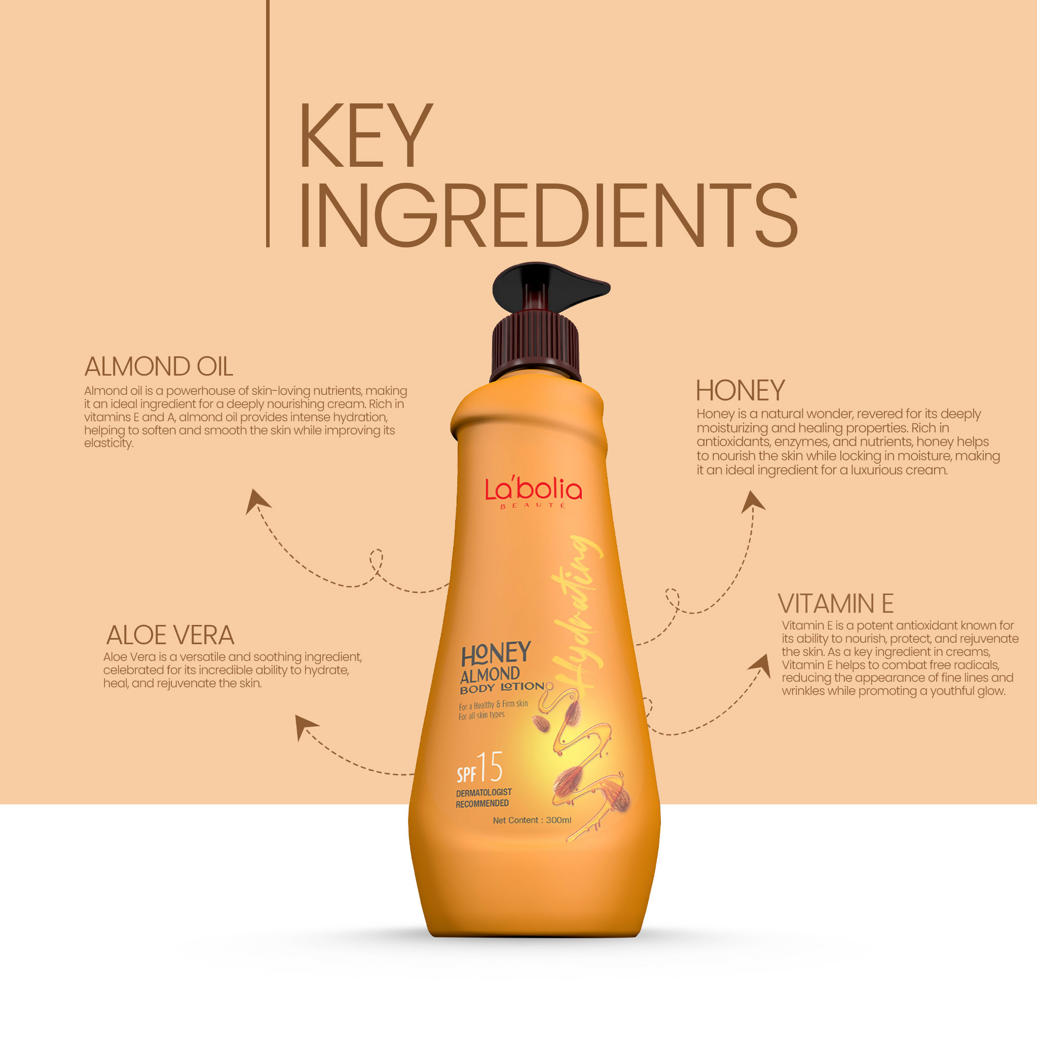 download - 2024-12-09T174321.907